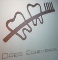 Dres. Echeverria Arrieta logo